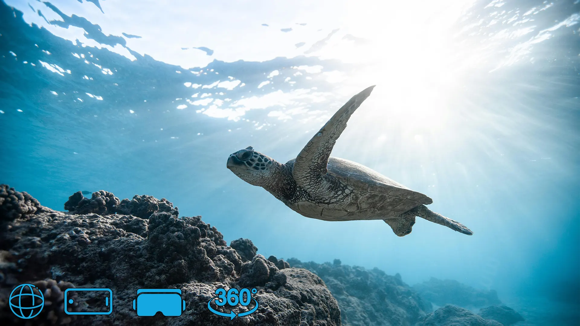 underwater vr production virtual reality production agency in london who create vr media vr video agency best vr creators in EU virtual reality production company hire the best quality vr camera hire a titan insta360 vr camera london insta360 titan